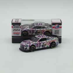 Alex Bowman 2024 Ally Best Friends 1:64 Nascar Diecast  Alex Bowman, Nascar Diecast, 2024 Nascar Diecast, 1:64 Scale Diecast,