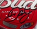 Dale Earnhardt Jr. Autographed 2003 Budweiser 1:24 Nascar Diecast - CX8-103532-AUT-SS-15-POC
