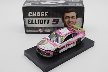 **Damaged Box See Pictures** Chase Elliott 2019 Hooters Give a Hoot 1:24 Color Chrome Nascar Diecast Chase Elliott 2019 Hooters Give a Hoot 1:24 Color Chrome Nascar Diecast 