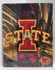 Iowa State University Canvas 11" x 14" Wall Hanging collectible canvas, ncaa licensed, officially licensed, collegiate collectible, university of