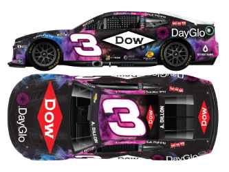 *CANCELLED* Austin Dillon 2025 Dow DayGlo 1:64 Nascar Diecast Austin Dillon, Nascar Diecast, 2025 Nascar Diecast, 1:64 Scale Diecast,