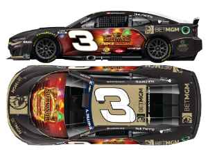 *Preorder* Austin Dillon 2026 BETMGM Survivor Triple Challenge 1:24 Flash Coat Silver Nascar Diecast Austin Dillon, Nascar Diecast, 2026 Nascar Diecast, 1:24 Scale Diecast