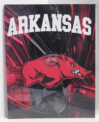 University of Arkansas Canvas 11" x 14" Wall Hanging collectible canvas, ncaa licensed, officially licensed, collegiate collectible, university of